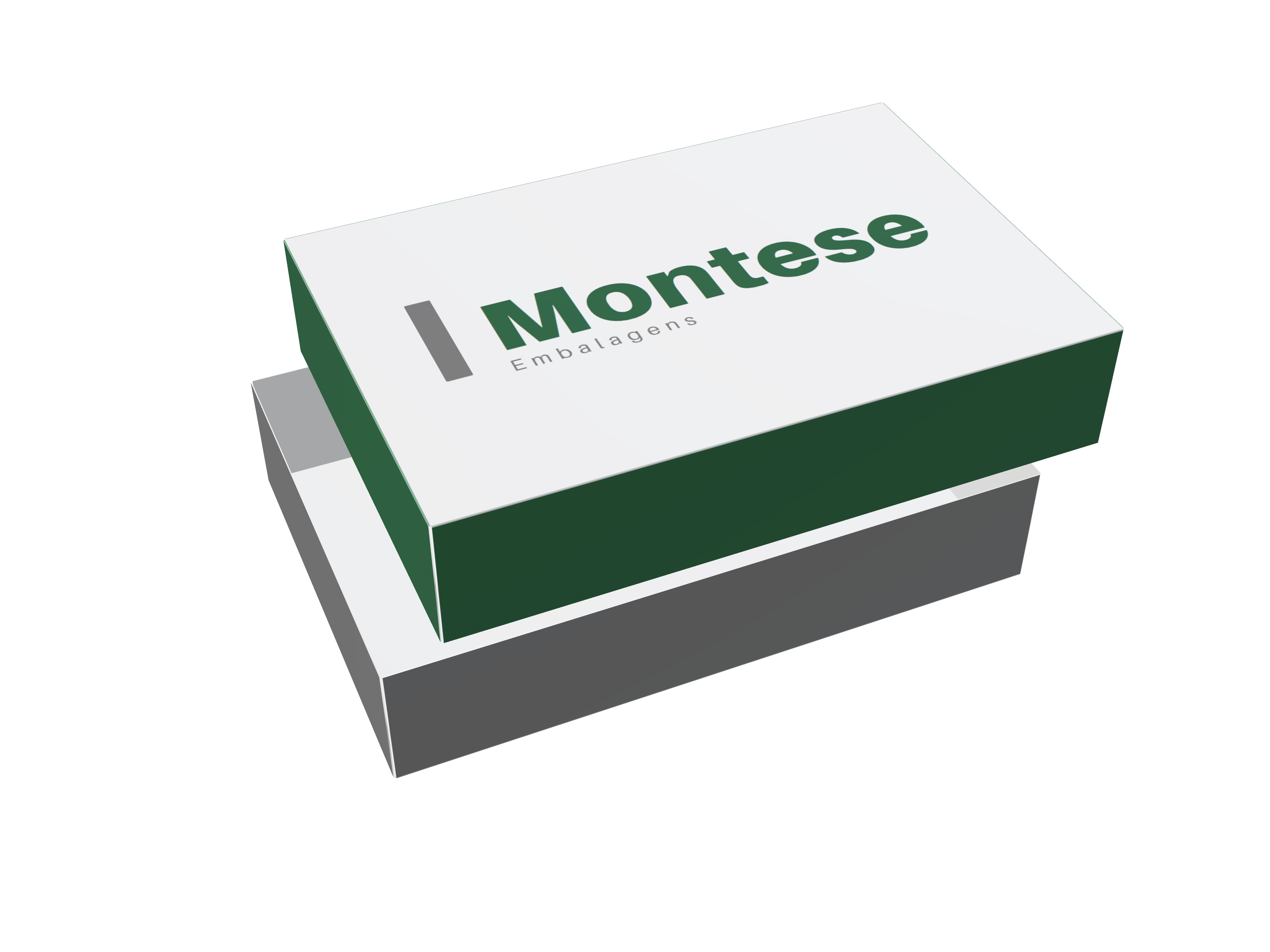 Telescópica Completa